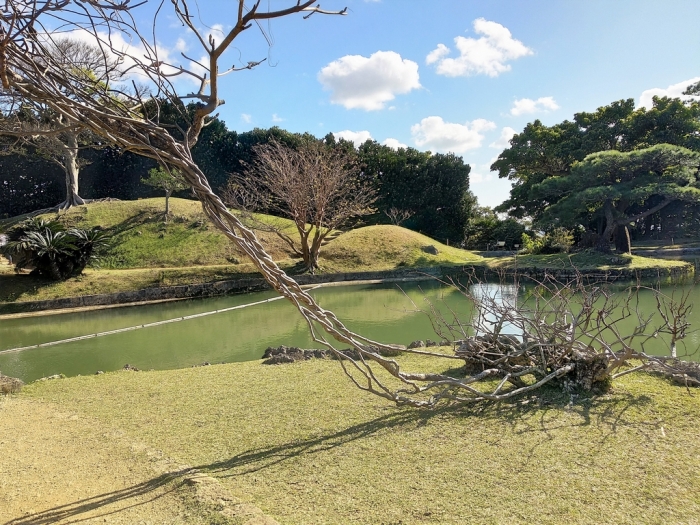 photo 640x640 3